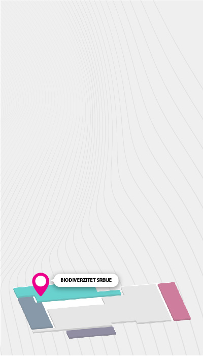 Biodiverzitet Srbije